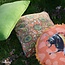 Imbarro Cushion Sun Flower