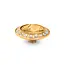 Melano Melano Vivid Summer Glow Steentje Goud