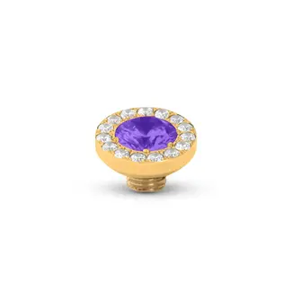 Melano Melano Vivid Fruity Shimmer Steentje Goud