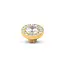 Melano Melano Vivid Fruity Shimmer Steentje Goud