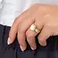 Melano Melano Vivid Pearl Emerald Steentje Goud