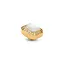 Melano Melano Vivid Pearl Emerald Steentje Goud