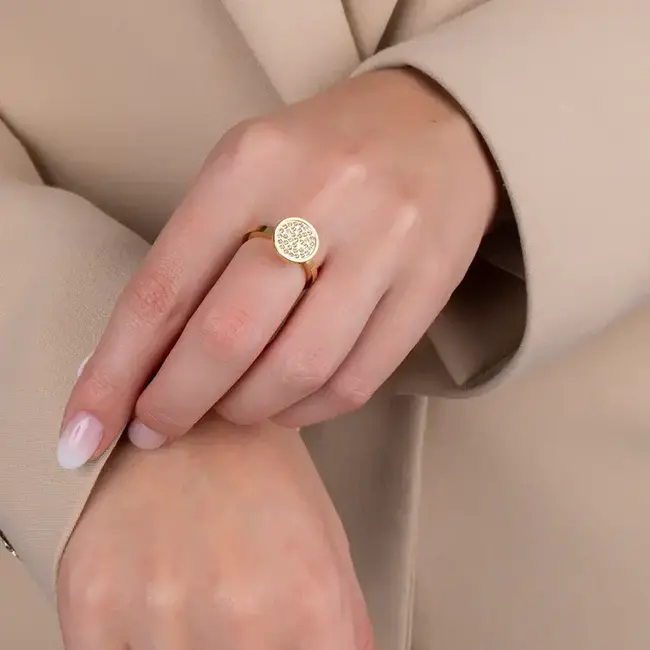 Melano Melano Vivid Dazzle Steentje Goud