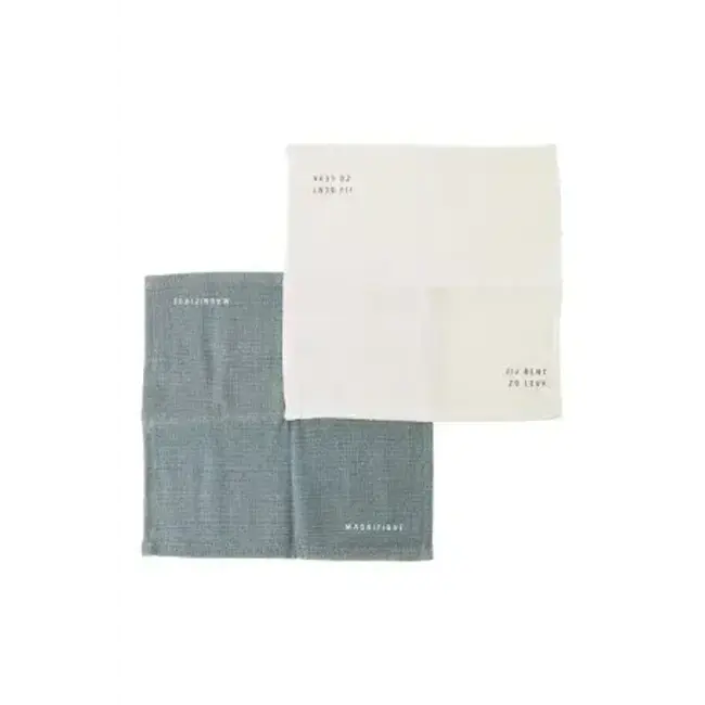 Zusss Zusss set van 2 vaatdoekjes zo leuk wit/grijsblauw