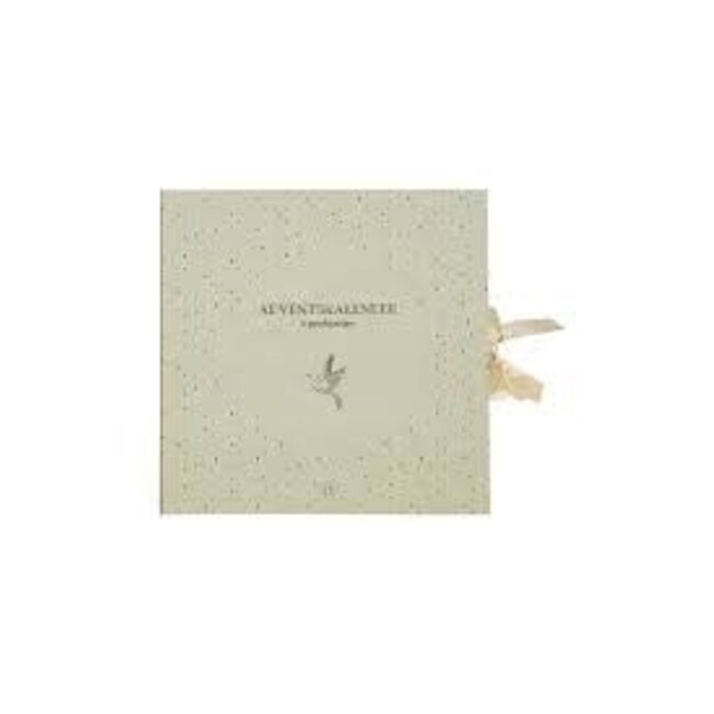 Zusss Zusss adventskalender vogels zand