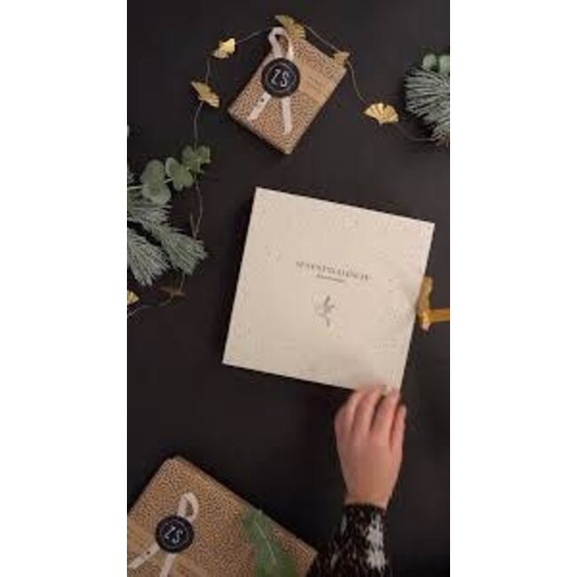 Zusss Zusss adventskalender vogels zand