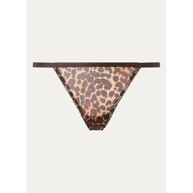 Love Stories Love Stories Rosie Leopard