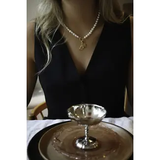 All The Luck In The World ALL THE LUCK IN THE WORLD - WONDER BEDEL GROENE PAPEGAAI