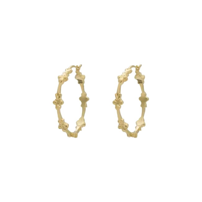 Anna + Nina ANNA+NINA EDEN HOOP EARRINGS