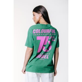 Colourful Rebel COLOURFUL REBEL - ACID WASH LOOSEFIT TEE - OFF GREEN