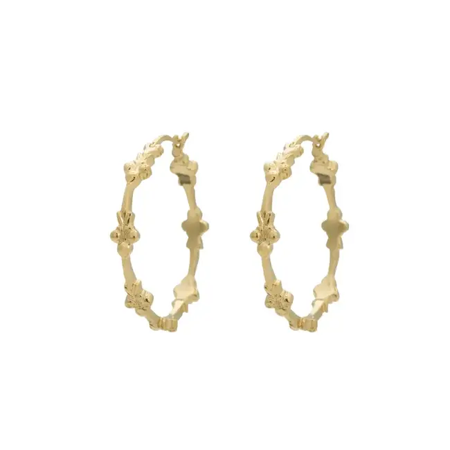 Anna + Nina ANNA + NINA - EDEN HOOP EARRINGS