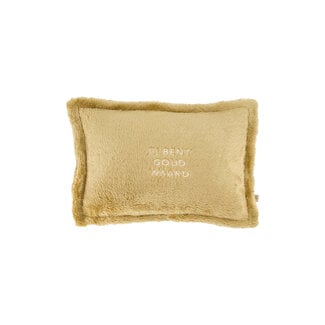 Zusss ZUSSS - KUSSEN FLUFFY - JIJ BENT GOUD WAARD - 35 X 25 - OKER