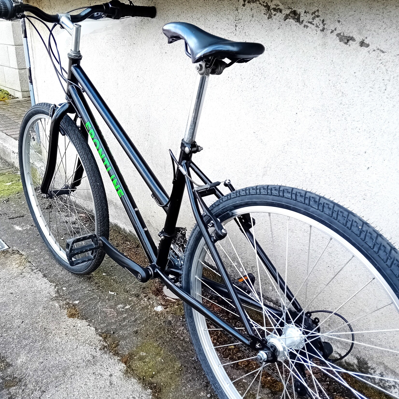 Frontline Frontline Bikes Women's Bike - 18 speed