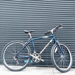 Iron Horse Iron Horse Men's Mountain Bike