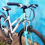 Raleigh Raleigh Teen Mountain Bike - 17 inch frame