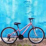 Apollo Apollo Vivid Kid's Mountain Bike - 24 inch wheels