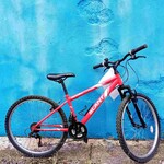 Apollo Apollo Slant Mountain Bike - 14 inch frame