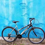 Sprint Panther Sprint Mountain Bike - 18 inch frame