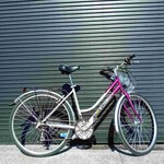 Goldrush Goldrush Parkland City Bike