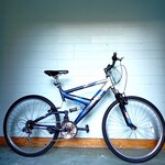 Raleigh Raleigh Vulture Mountain Bike (Large)