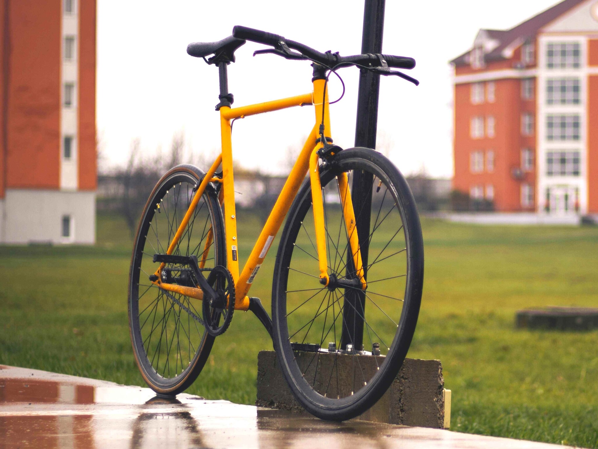 Fixed gear bicycle