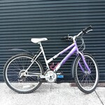 Optima Optima Storm Hybrid Bike