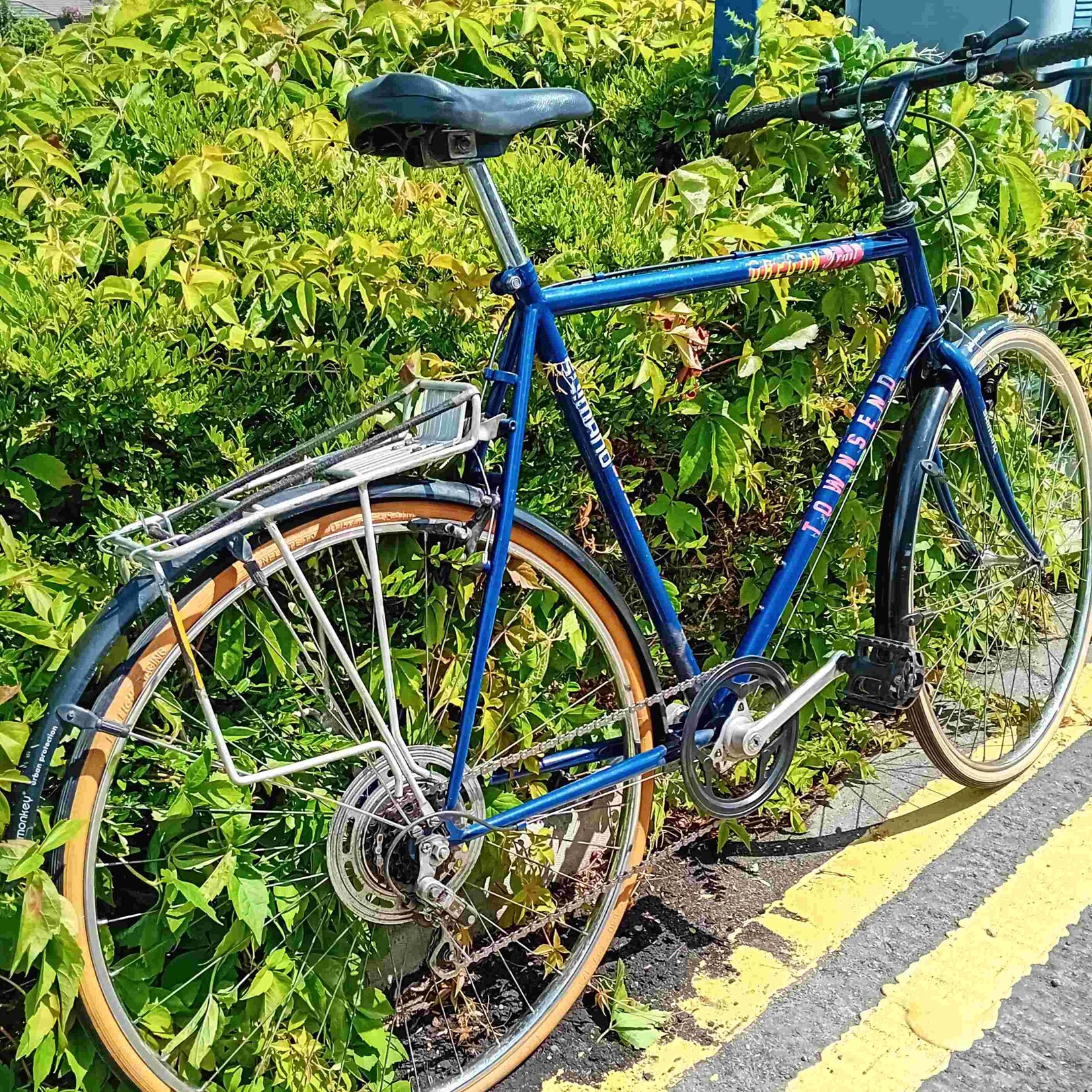 Townsend Townsend Oregon Men's City Bike