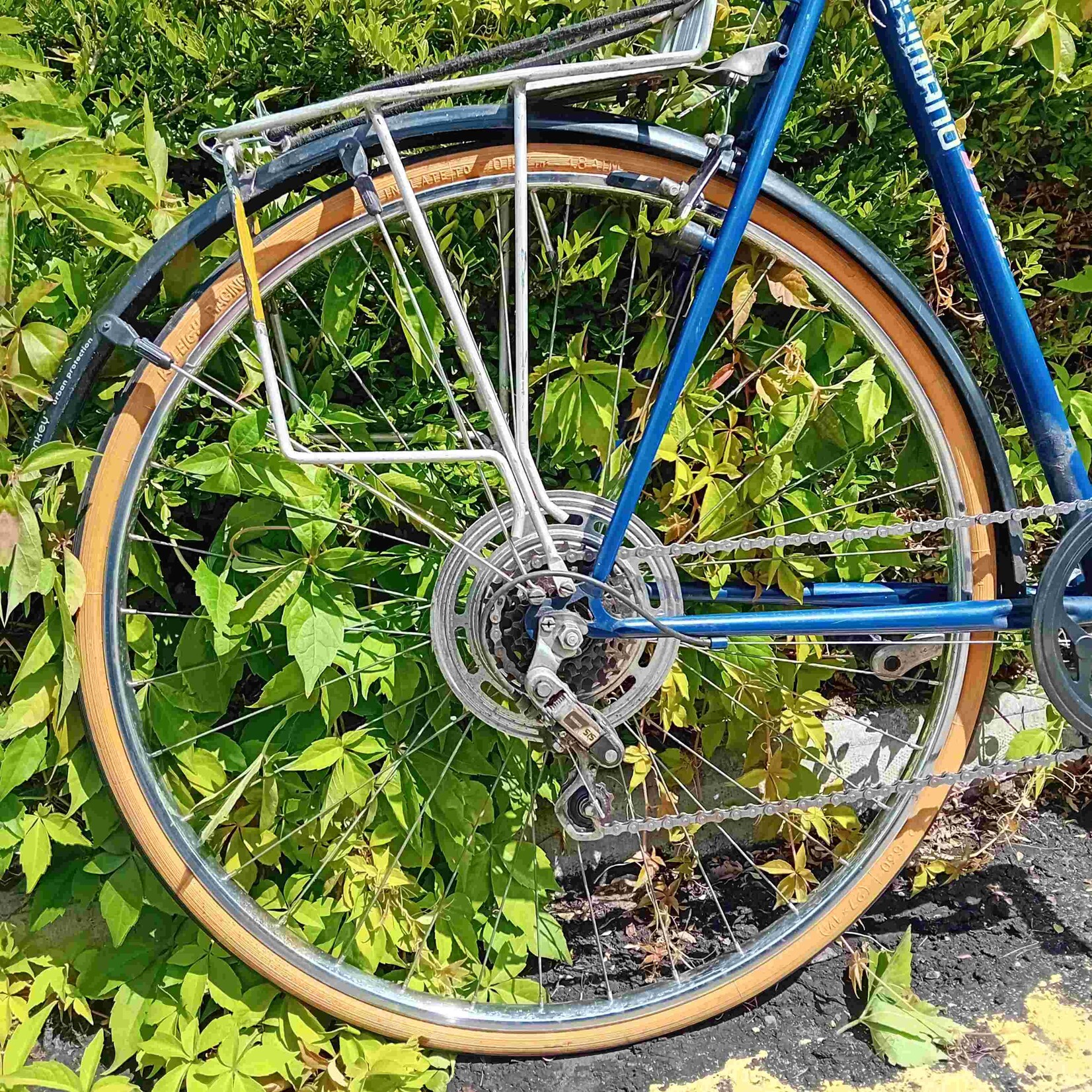 Townsend Townsend Oregon Men's City Bike