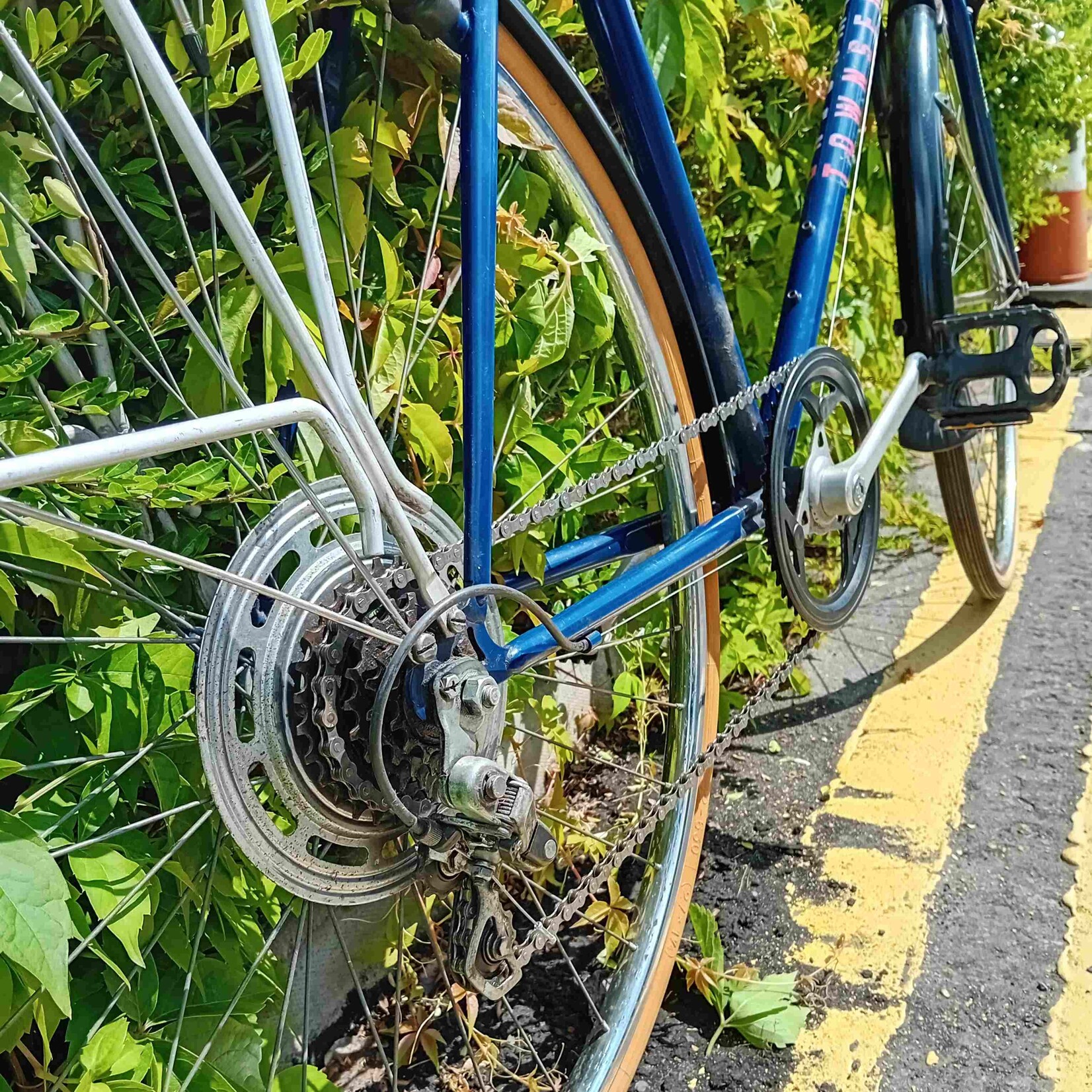 Townsend Townsend Oregon Men's City Bike