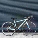 Giant Giant Road Bike