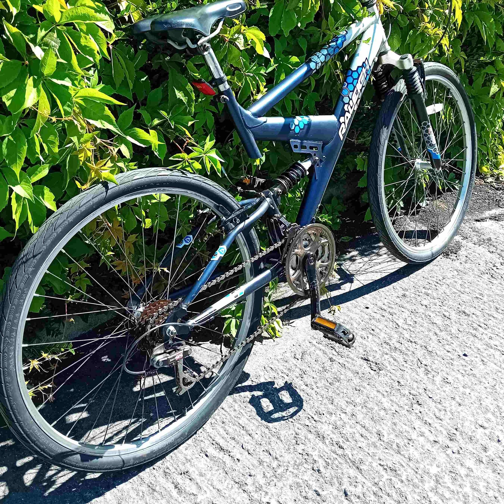 Raleigh Raleigh Vulture Mountain Bike (Large)
