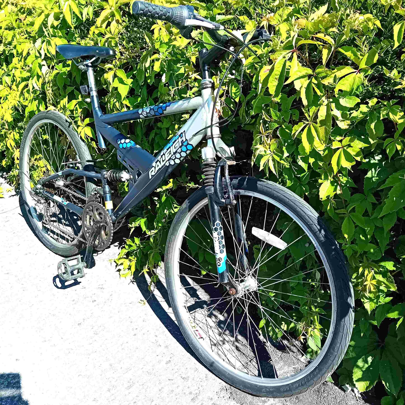 Raleigh Raleigh Vulture Mountain Bike (Large)