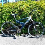 Raleigh Raleigh Vulture Mountain Bike (Large)