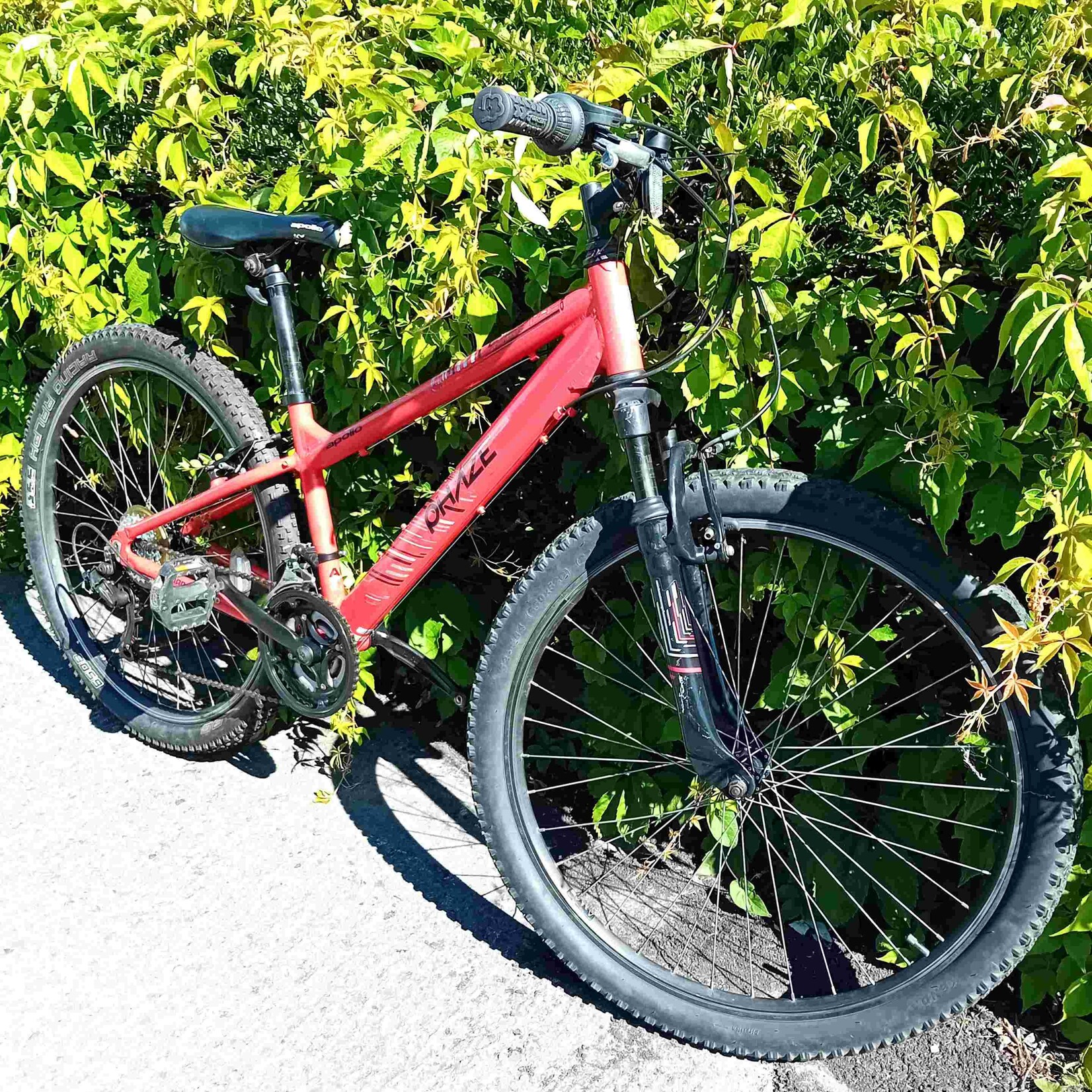 Apollo Apollo Phaze Men's Mountain Bike