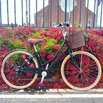 Frontline Frontline Bikes Black Step-Through