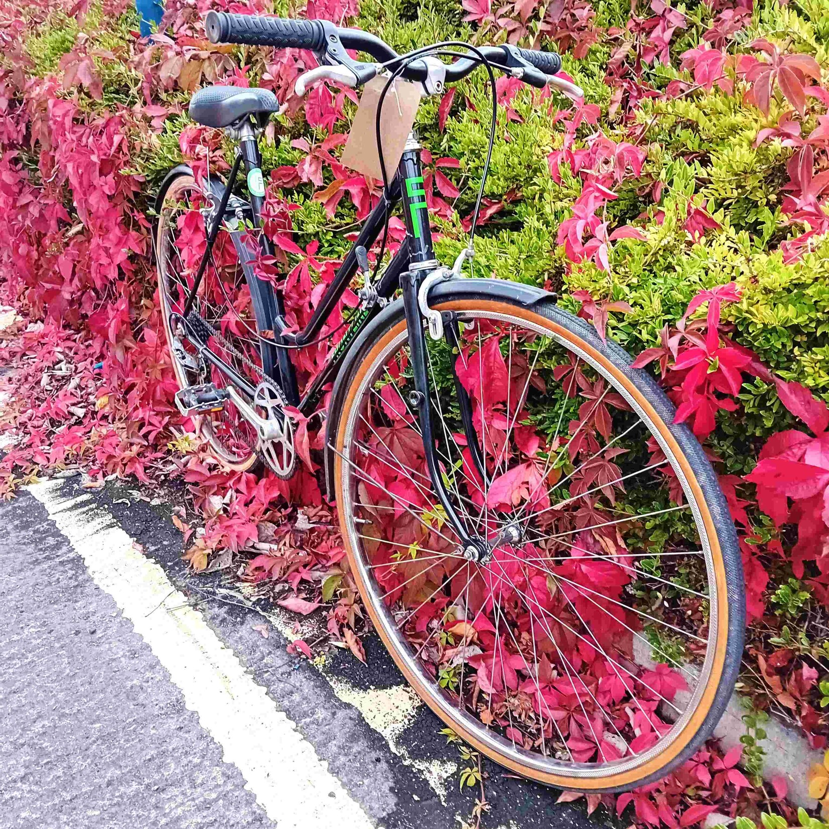 Frontline Frontline Bikes Black Step-Through