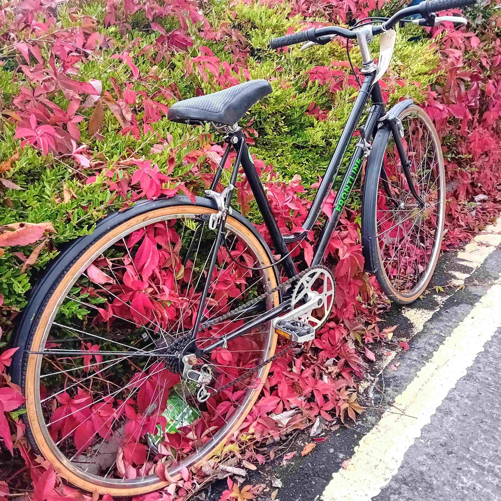 Frontline Frontline Bikes Black Step-Through