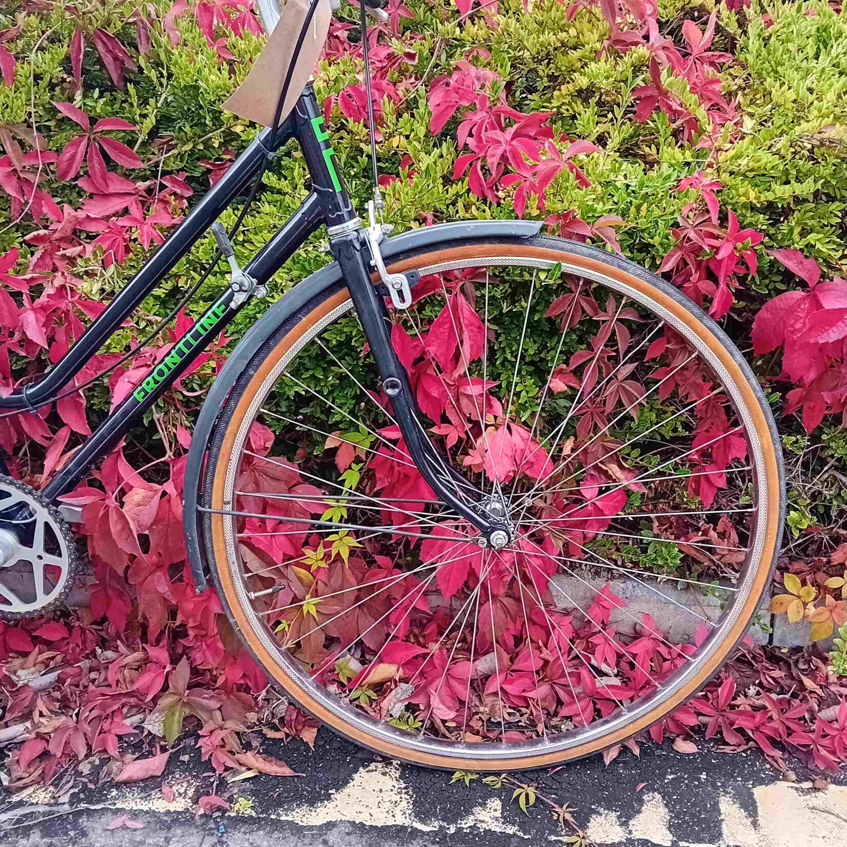 Frontline Frontline Bikes Black Step-Through