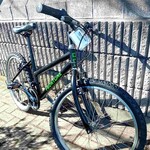 Frontline Frontline Upcycled Mountain Bike