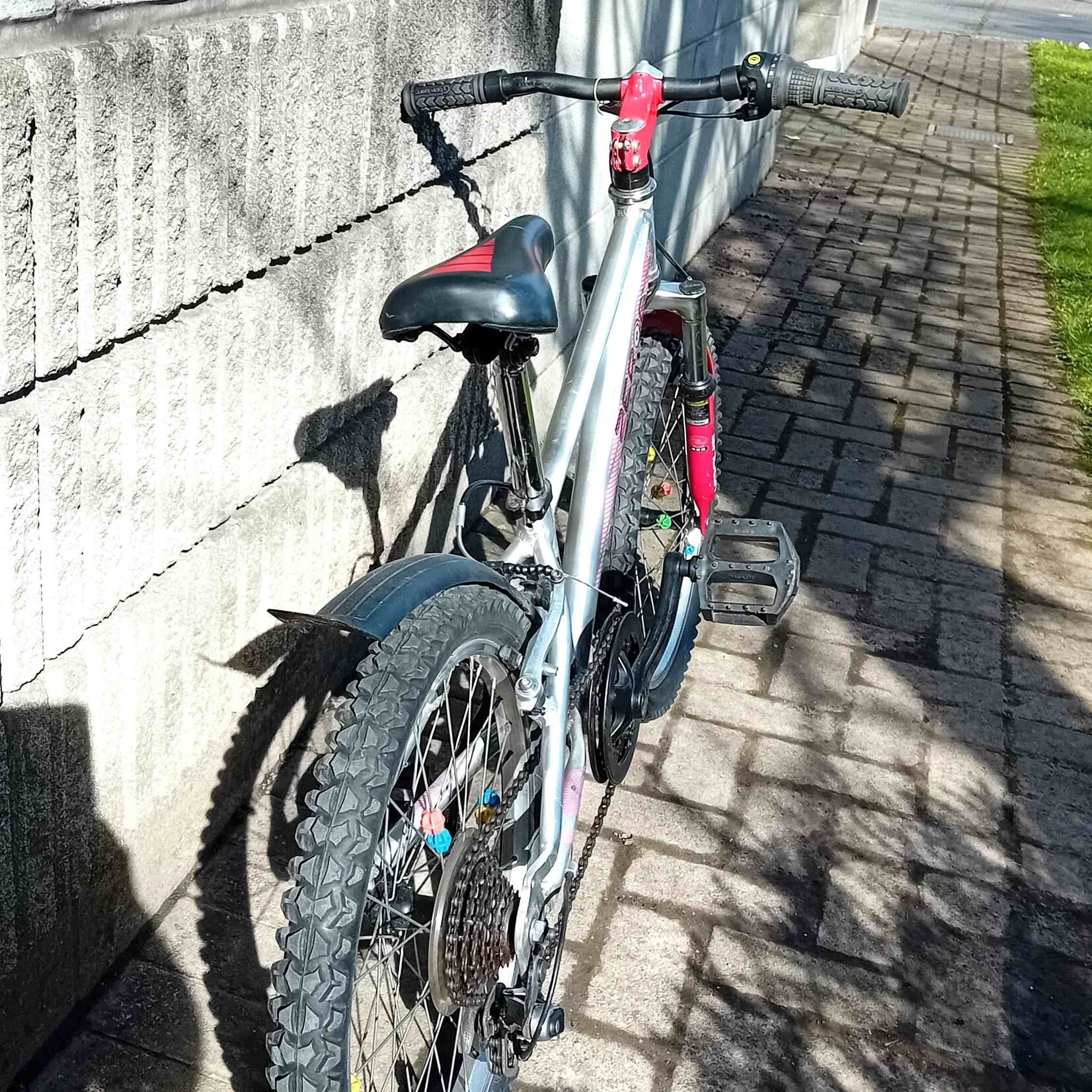 Raleigh Raleigh Zero G Shock mountain bike