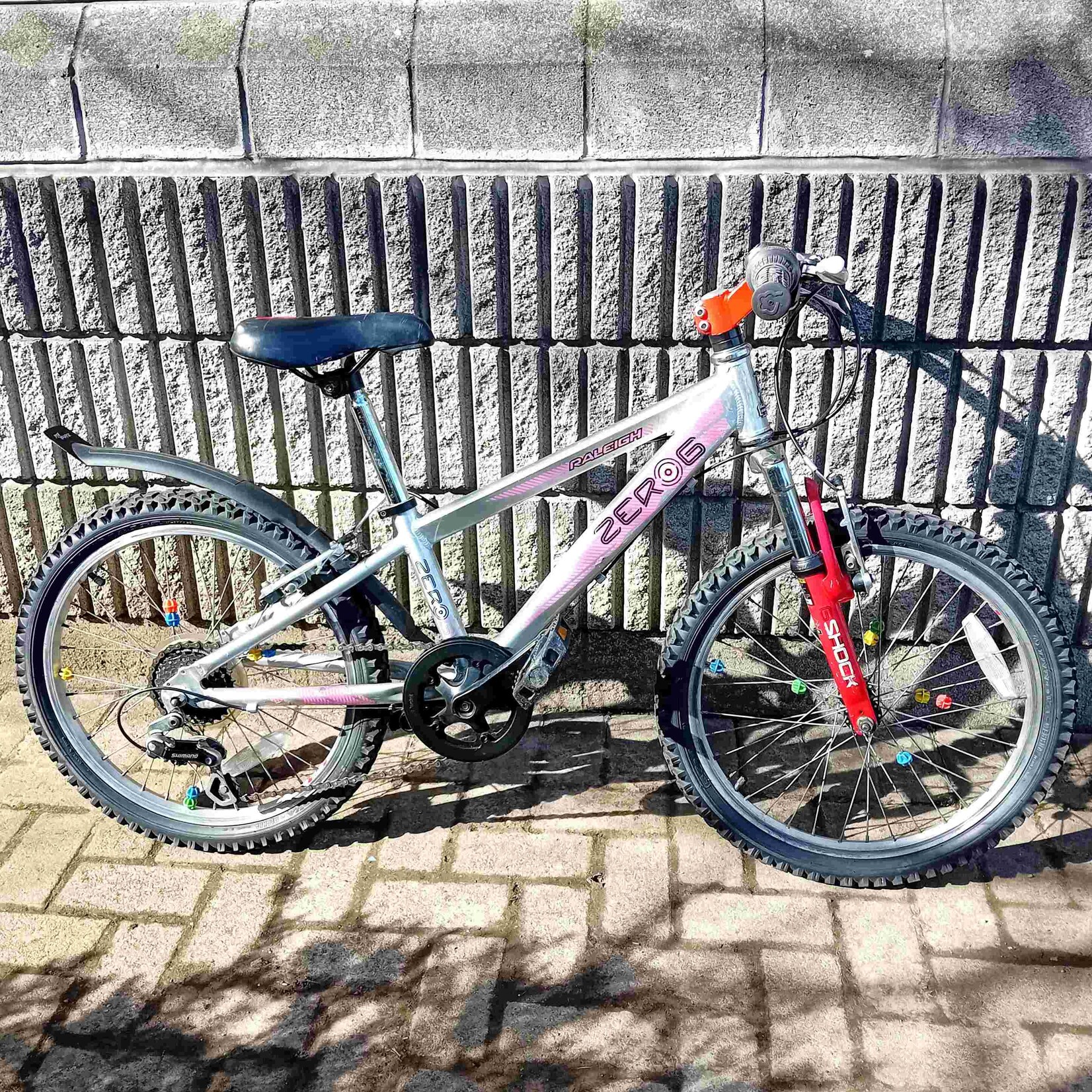 Raleigh Raleigh Zero G Shock mountain bike