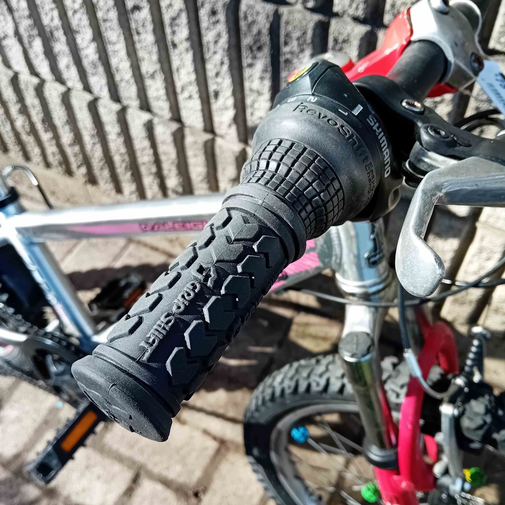 Raleigh Raleigh Zero G Shock mountain bike