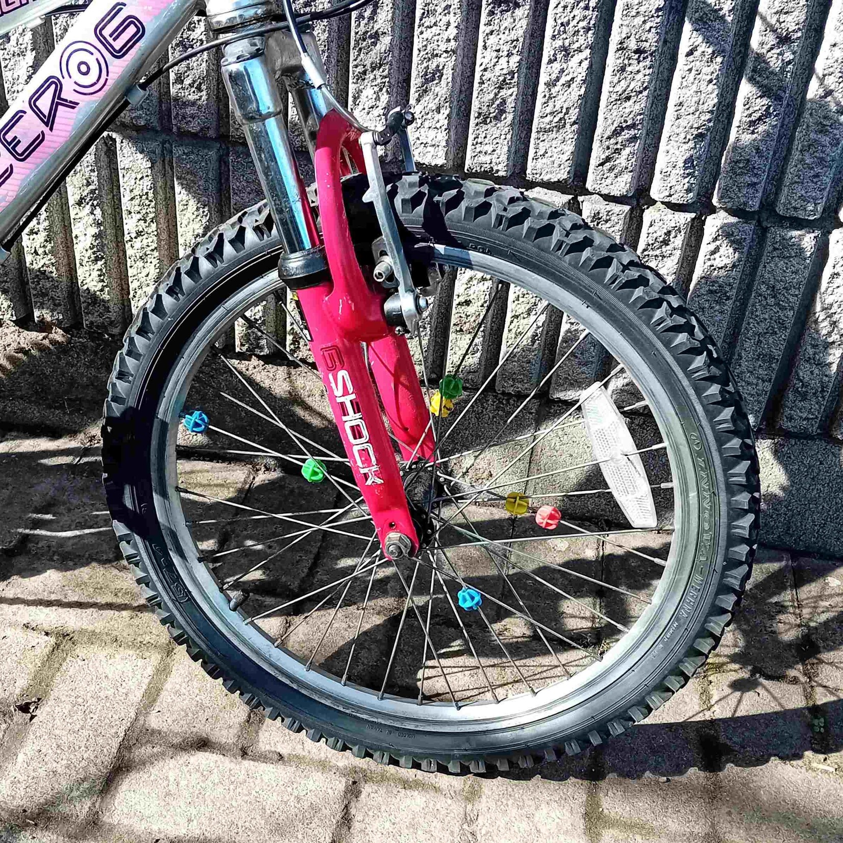 Raleigh Raleigh Zero G Shock mountain bike