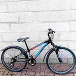 Trek Trek MT 220 Kids Mountain Bike