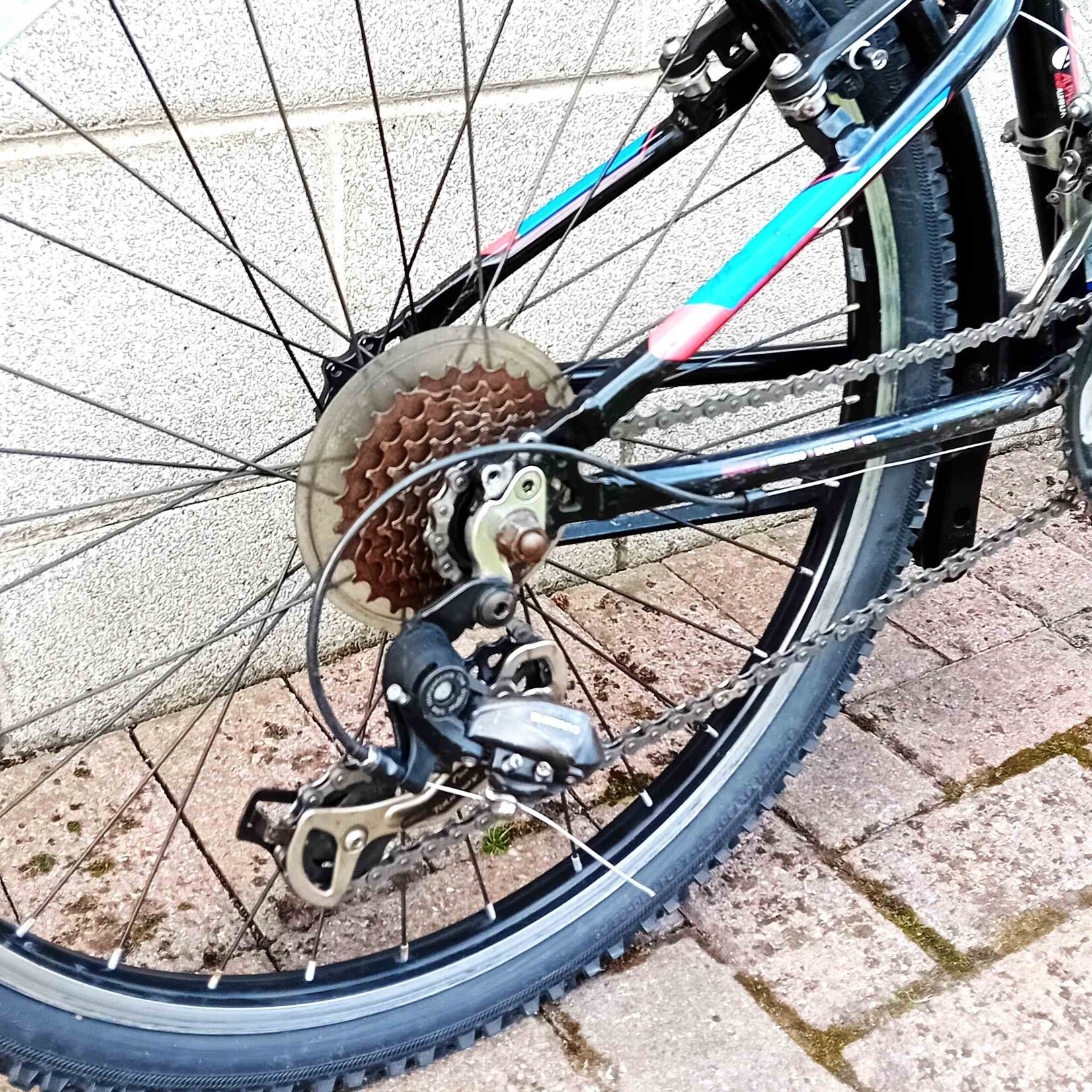 Trek Trek MT 220 Kids Mountain Bike