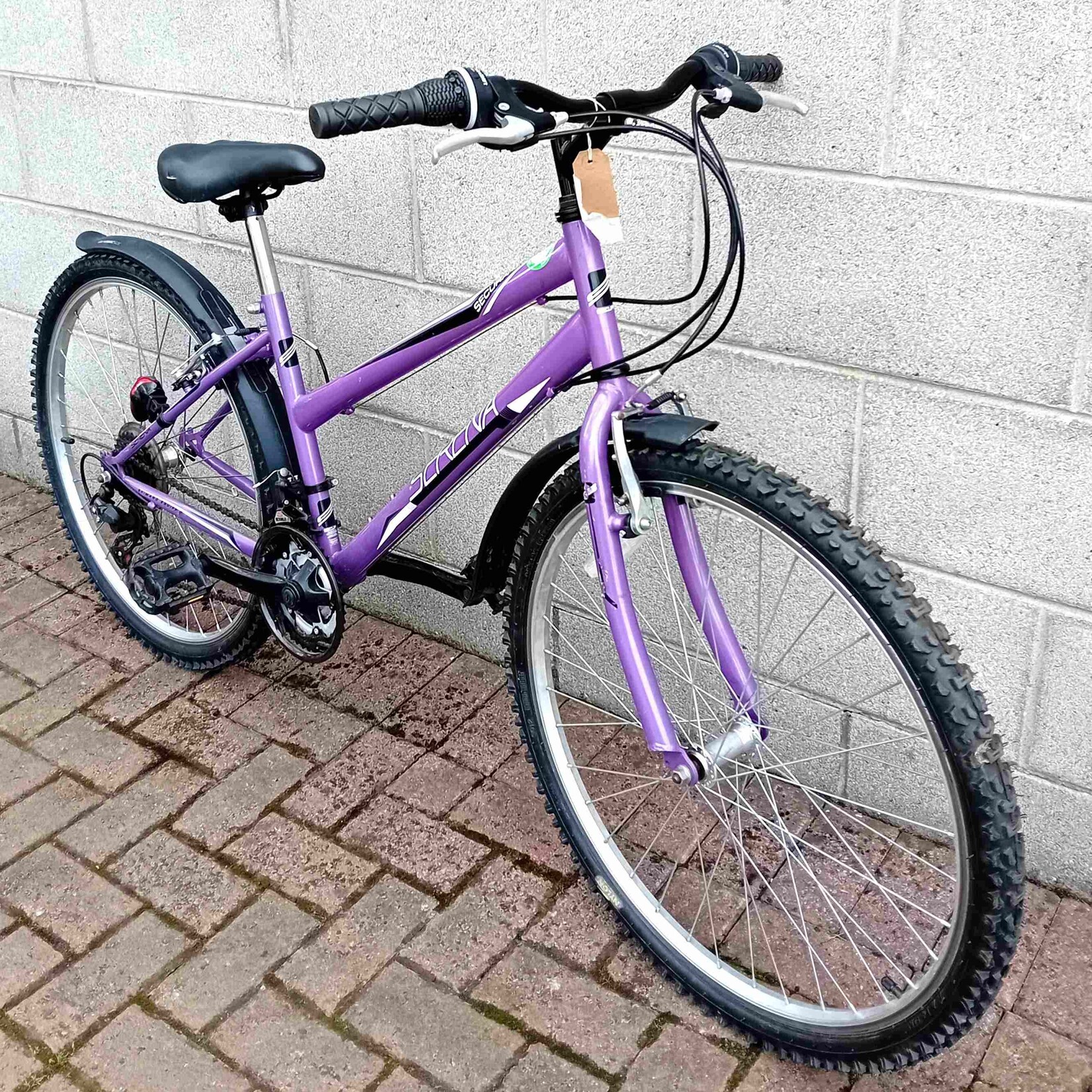 Serena Serena Secura Teen Mountain Bike