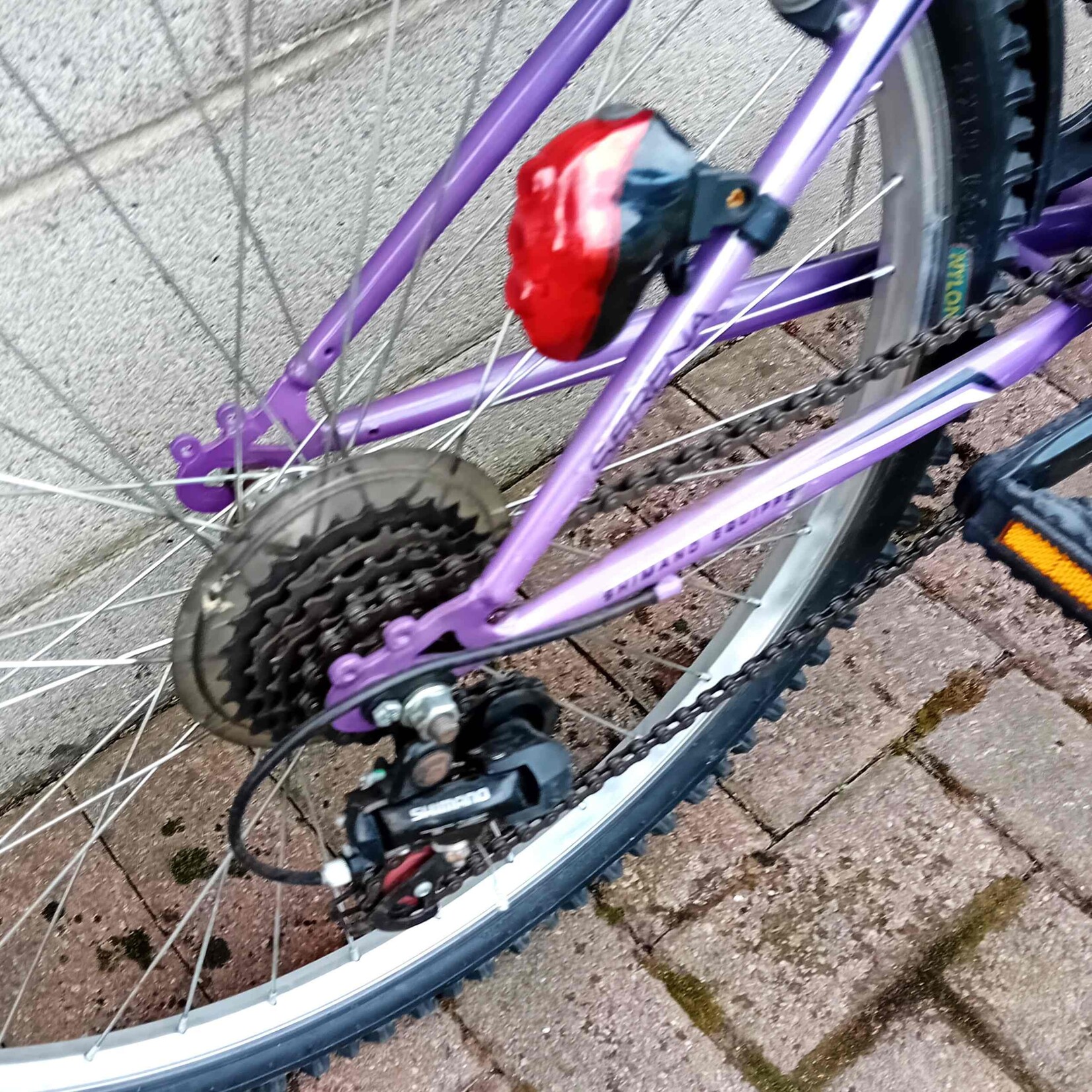 Serena Serena Secura Teen Mountain Bike