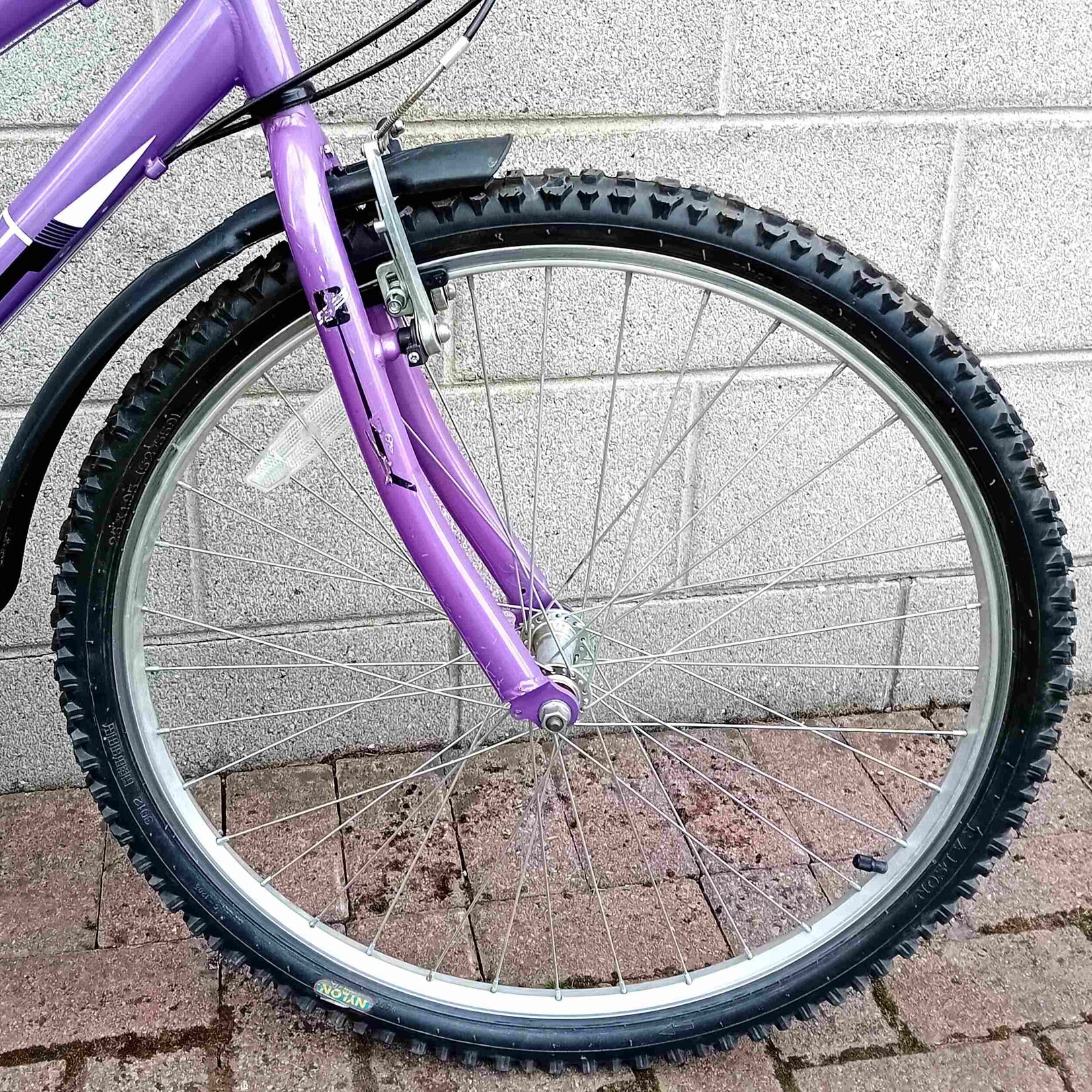 Serena Serena Secura Teen Mountain Bike