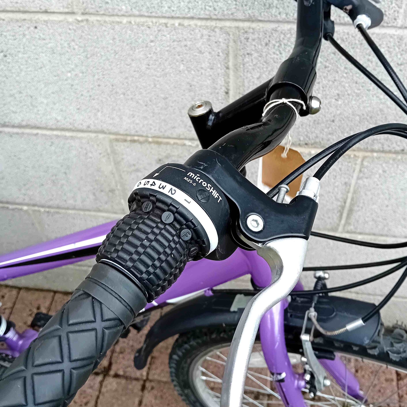 Serena Serena Secura Teen Mountain Bike