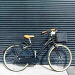 Raleigh Raleigh Olanda Step Through Bike